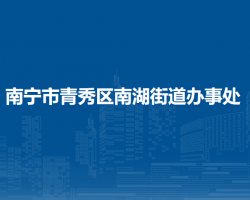 南寧市青秀區(qū)南湖街道辦事處