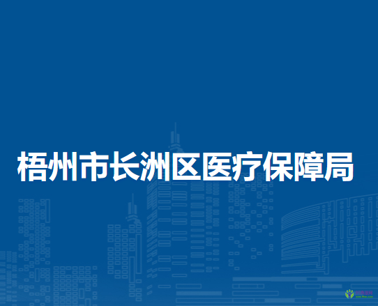 梧州市長洲區(qū)醫(yī)療保障局