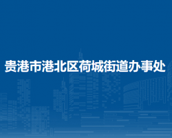 貴港市港北區(qū)荷城街道辦事處