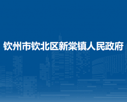 欽州市欽北區(qū)新棠鎮(zhèn)人民政府