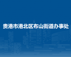 貴港市港北區(qū)布山街道辦事處