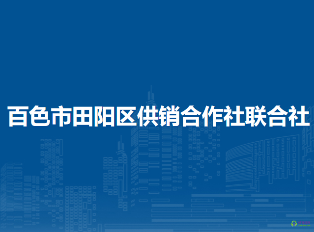 百色市田陽(yáng)區(qū)供銷合作社聯(lián)合社