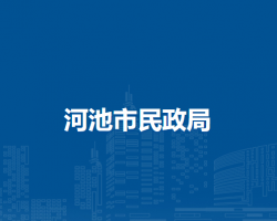 河池市民政局